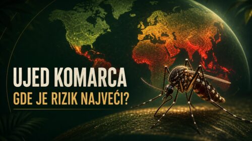 Ujed komarca: Koje zemlje su najbezbednije, a koje najrizičnije?
